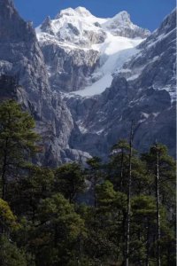 《玉龙雪山常见观赏植物图鉴》正式出版